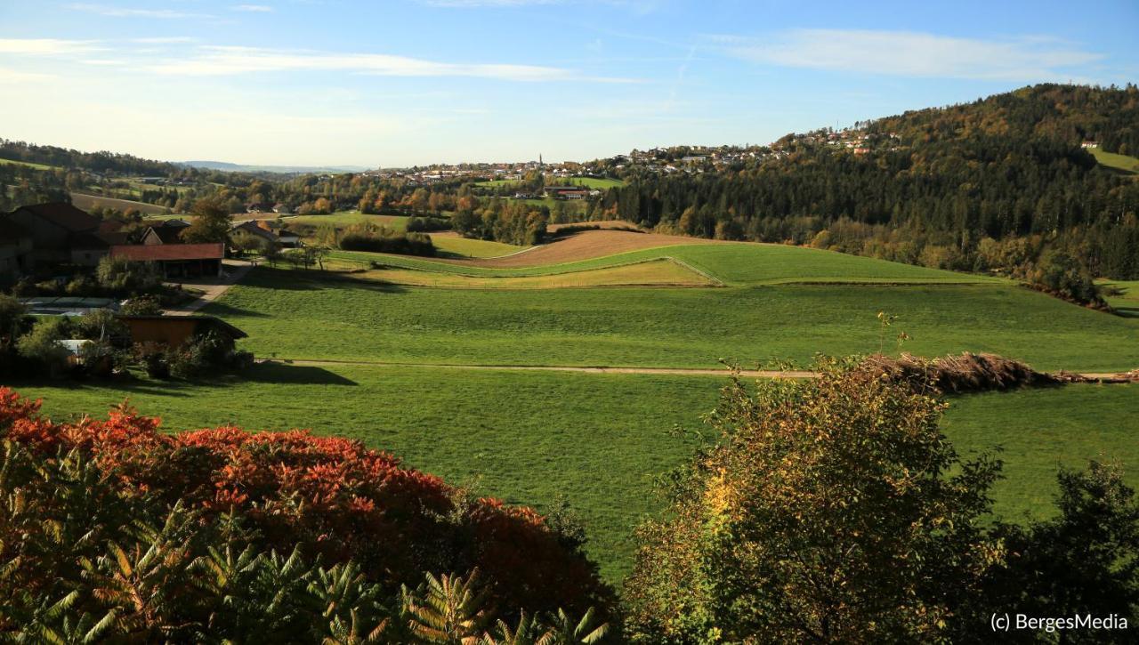 Appartement Hauzenberg-Panorama Esterno foto