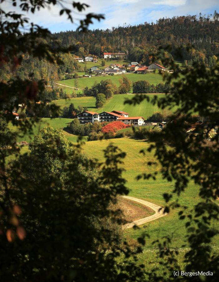 Appartement Hauzenberg-Panorama Esterno foto